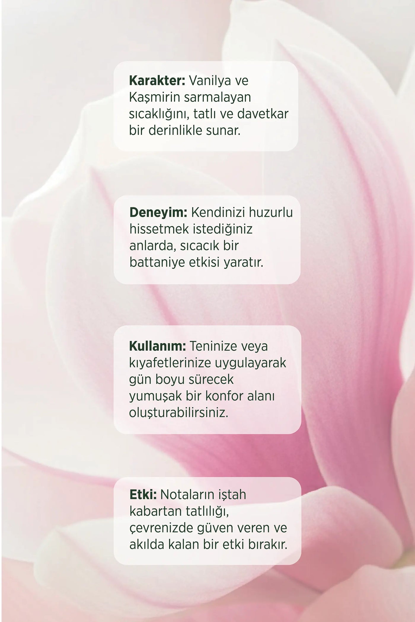 Nocte Body Mist 200 ml
