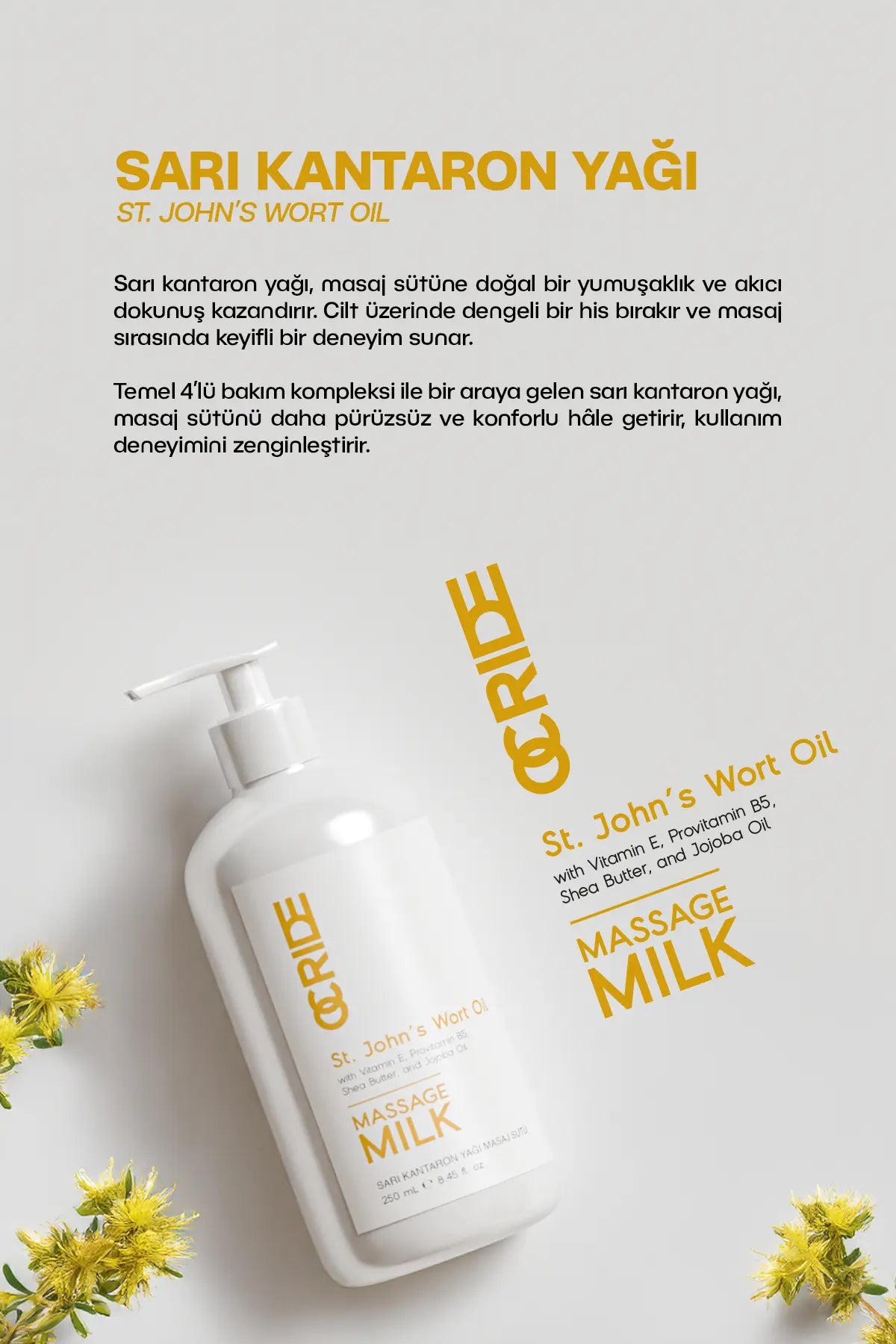 Sarı Kantaron Yağı Masaj Sütü Masaj Yağı