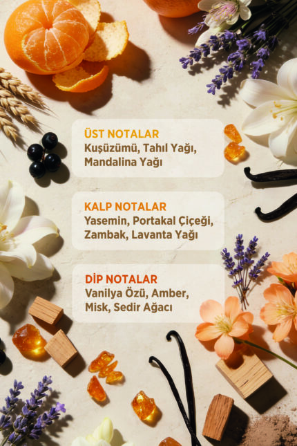 Doğal Masaj Sütleri & Premium Vücut Bakımı 15 Doğal Masaj Sütleri & Premium Vücut Bakımı - OCRIDE®