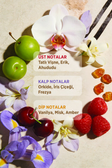 Doğal Masaj Sütleri & Premium Vücut Bakımı 21 Doğal Masaj Sütleri & Premium Vücut Bakımı - OCRIDE®